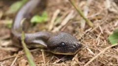 �岽������ʲô