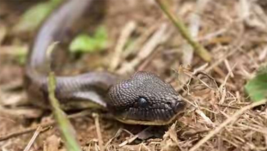 �岽������ʲô