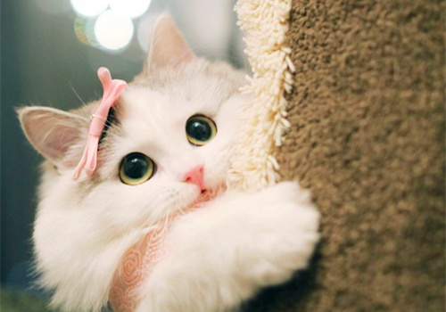 è���۲���ô����