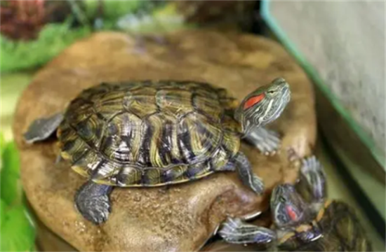 ��������ô������ȷ��