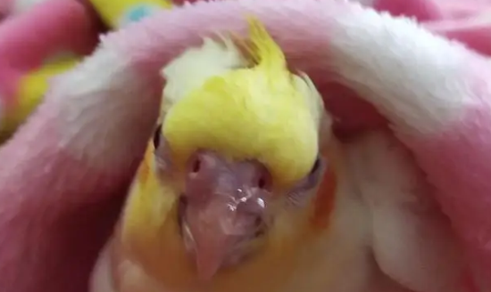 ���ĸ�ð��ʲôҩ