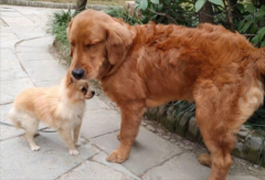 ��ë����Ҫ��ô�һ��