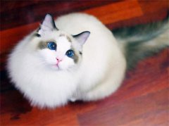 è�仳��Ҫע����Щ����