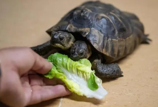 �߲ʹ���������Ǯһ��