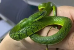 �ʺ��������ĳ�������ʲô