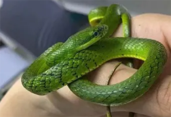 �ʺ��������ĳ�������ʲô