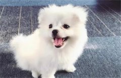 ���Դ�����һ��˳�������