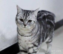 ĸè�������һ����ô�����ź�