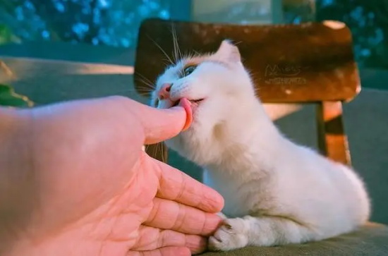 Ϊʲôè�䲻ϲ�����˱�