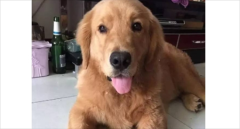 ��ë��ë������ô��