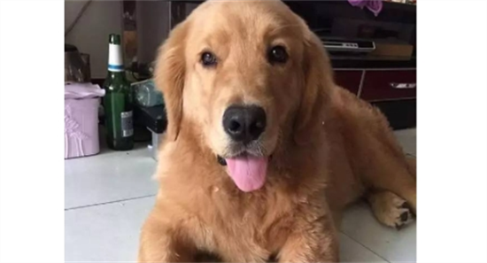 ��ë��ë������ô��