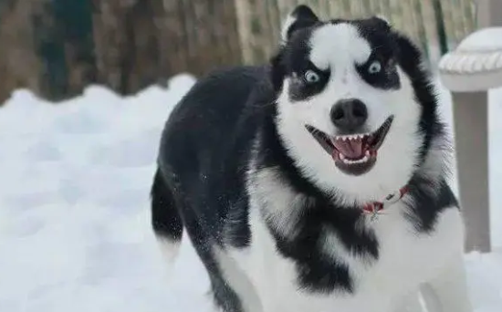���ѵ����������ҧ����