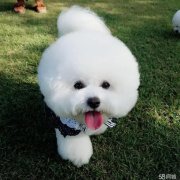 ��������Ż����ϡ��ô�죿